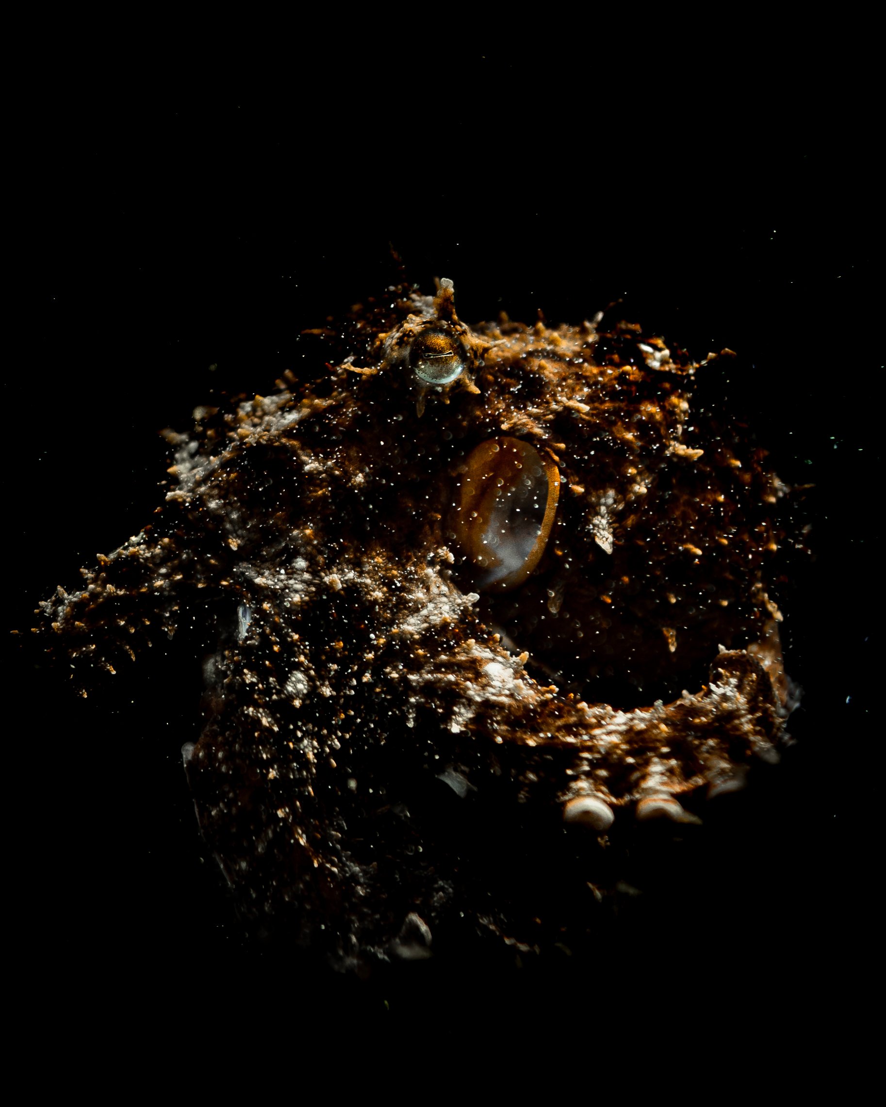 Dark Waters 19