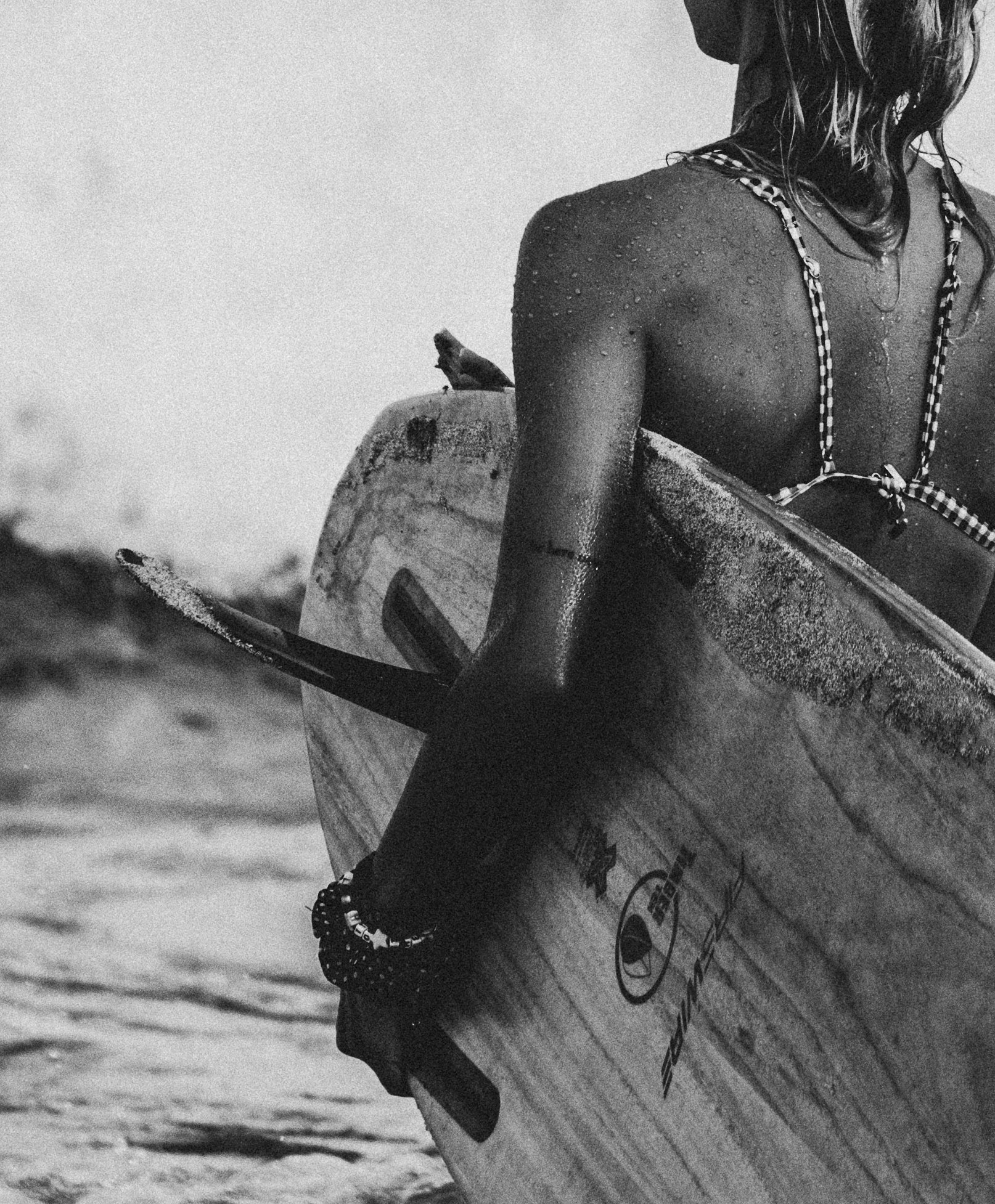 Ocean Portraits 139