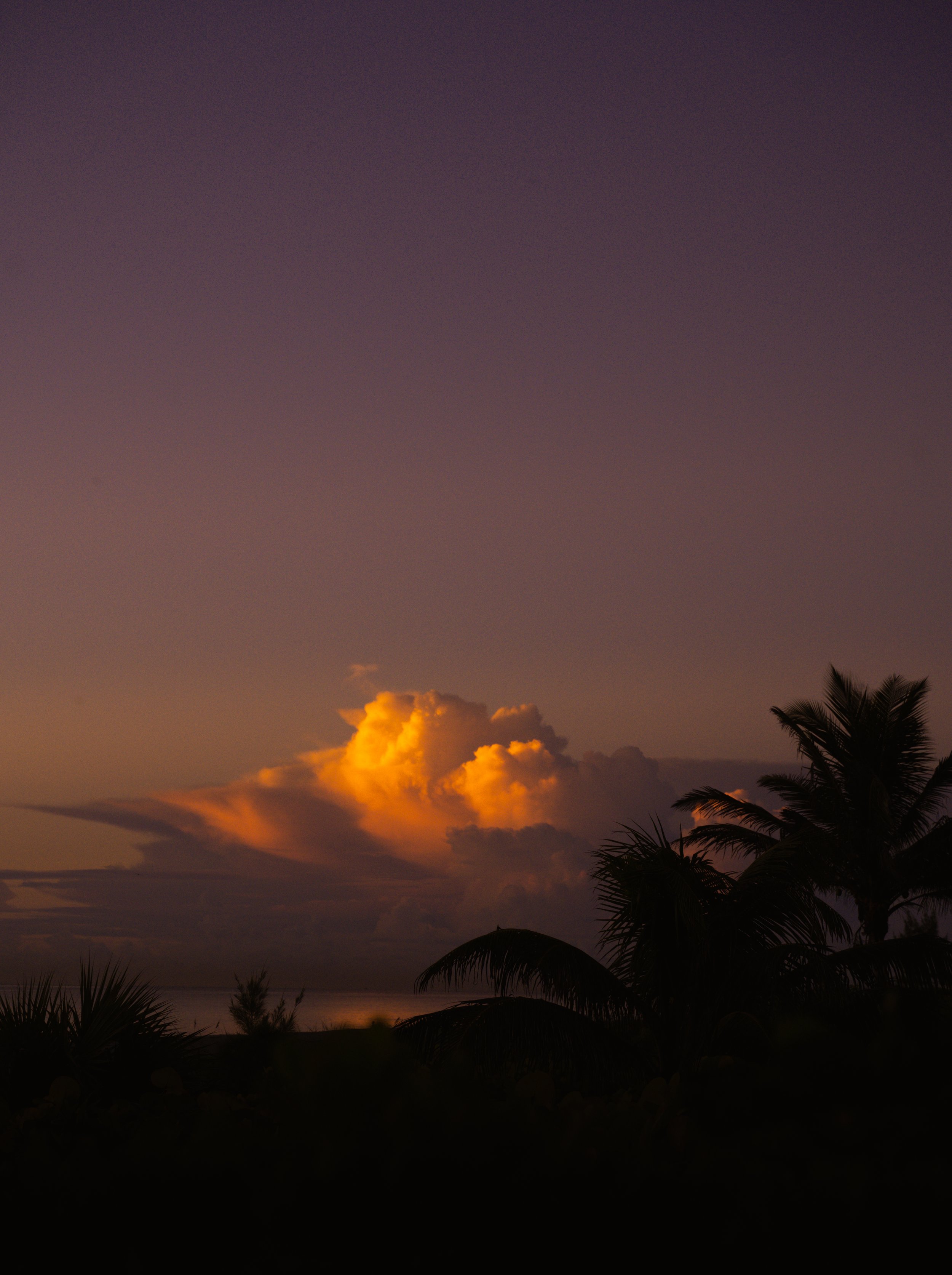 Ocean Landscapes 102