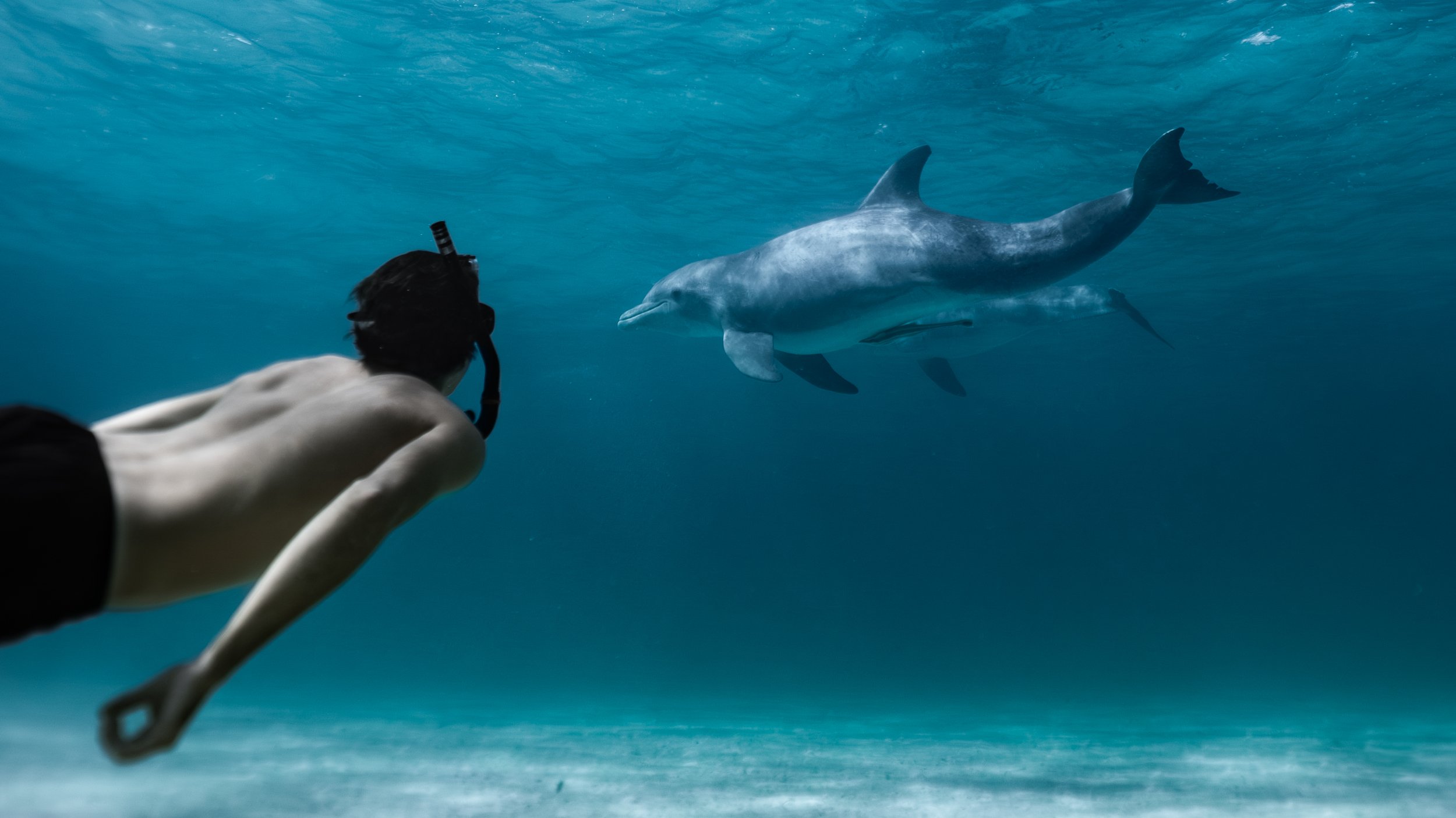 Ocean Portraits 118