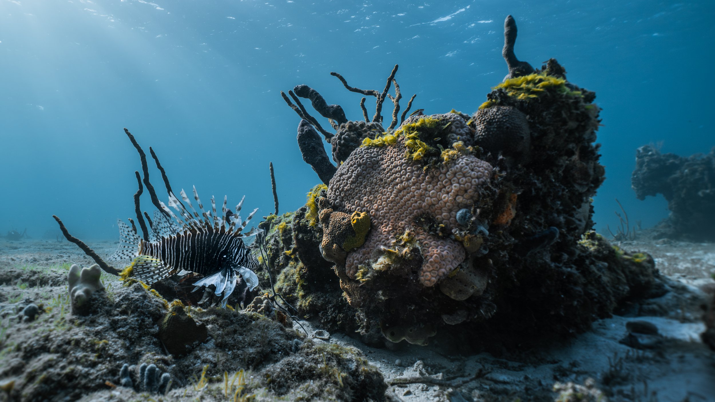 Ocean Landscapes 116