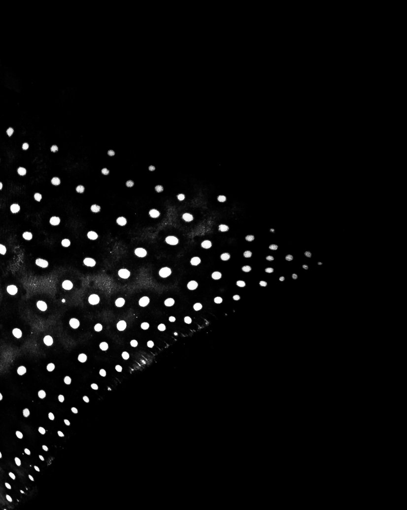 Dark Waters 9