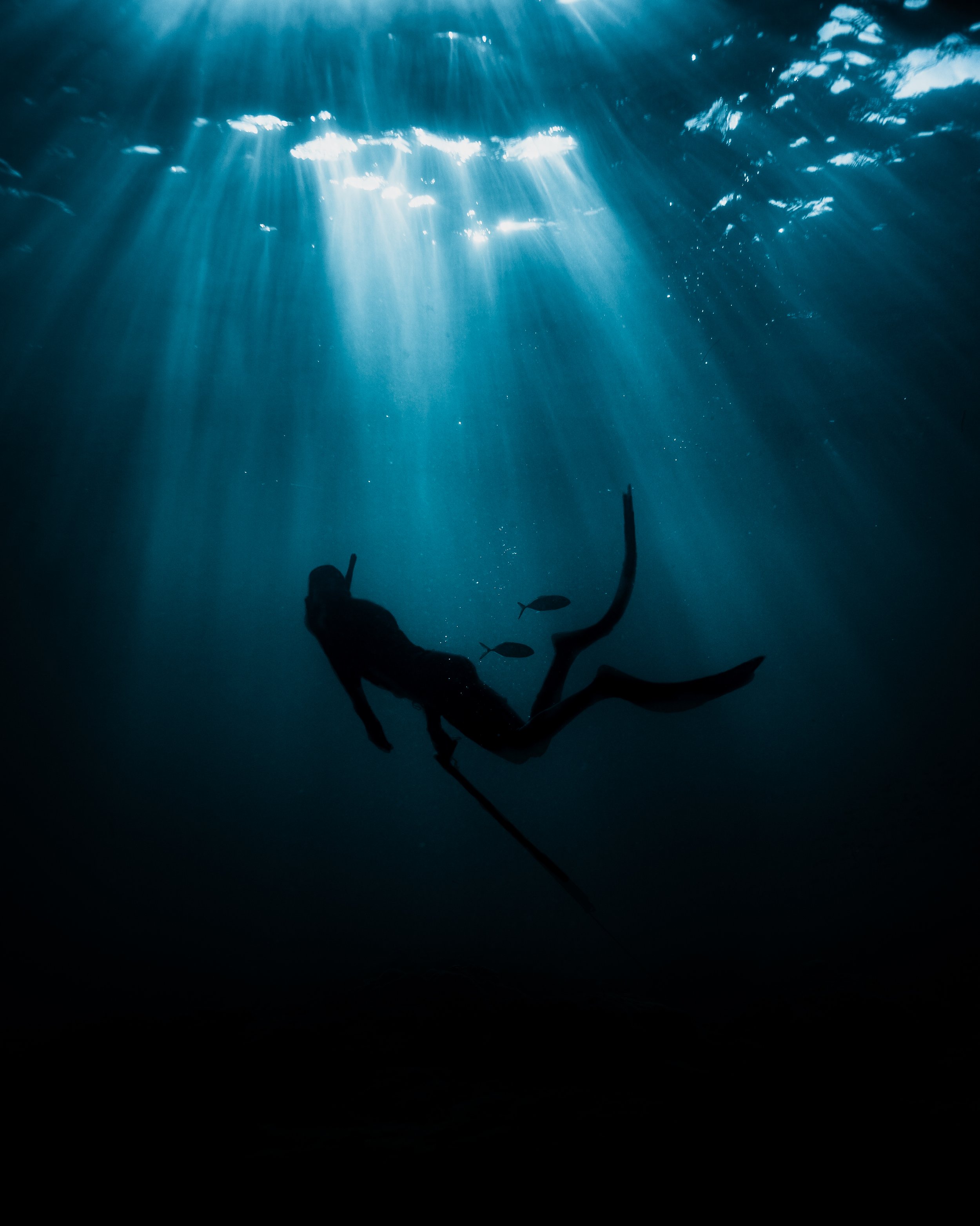 Ocean Portraits 170