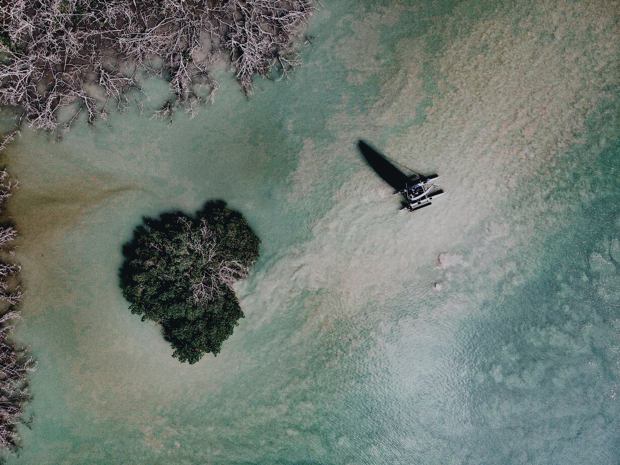 Ocean Landscapes 103
