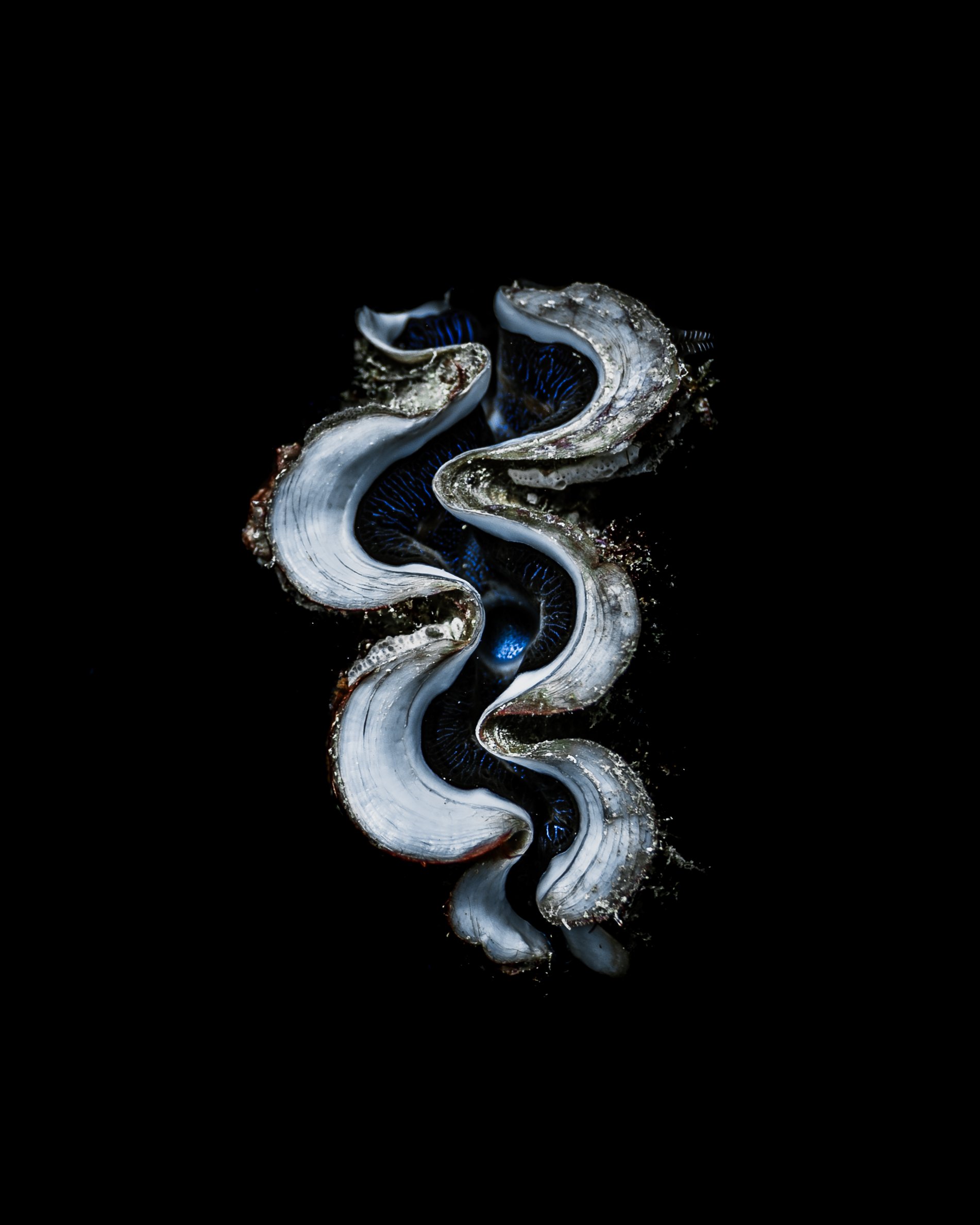 Dark Waters 2