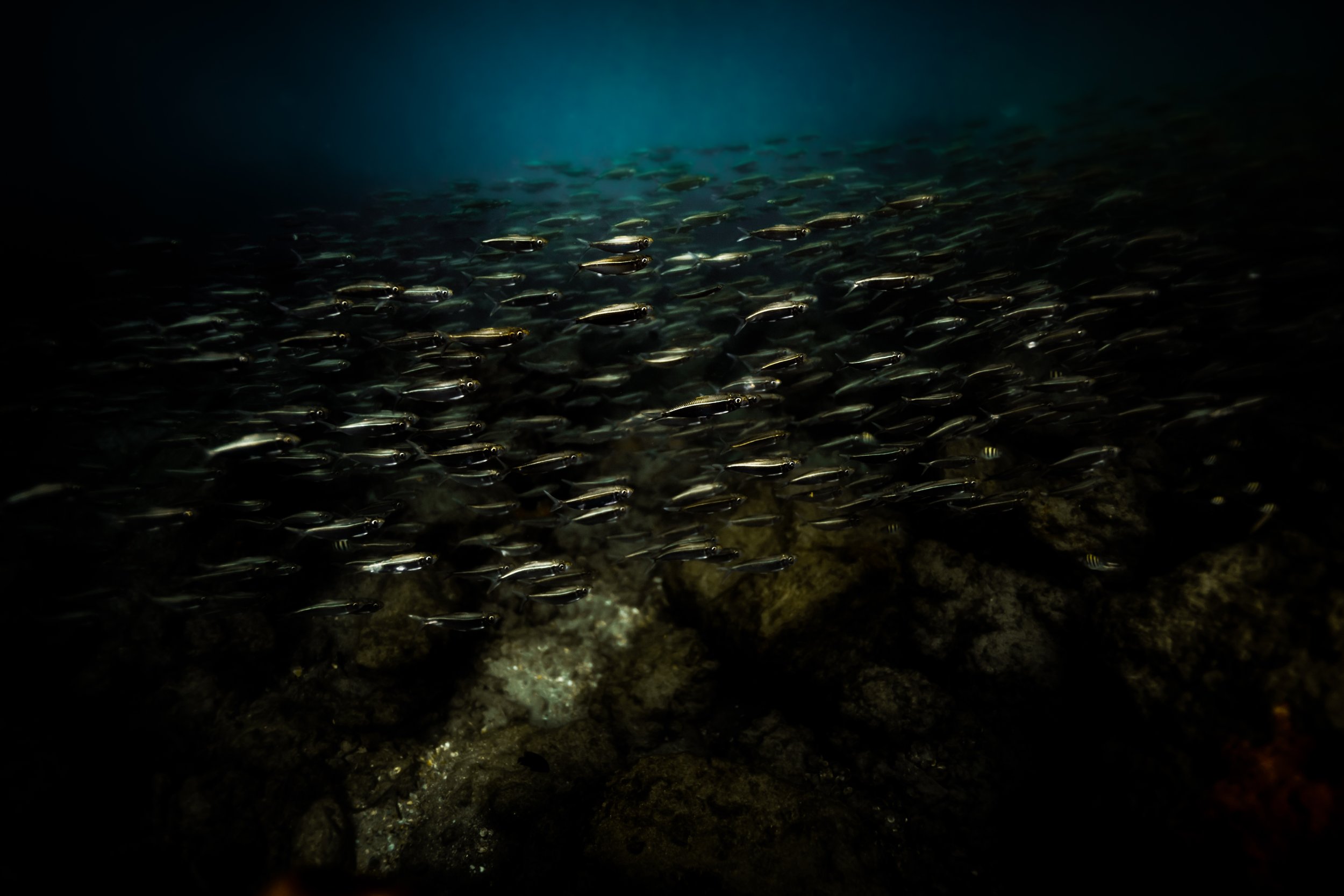 Ocean Landscapes 106