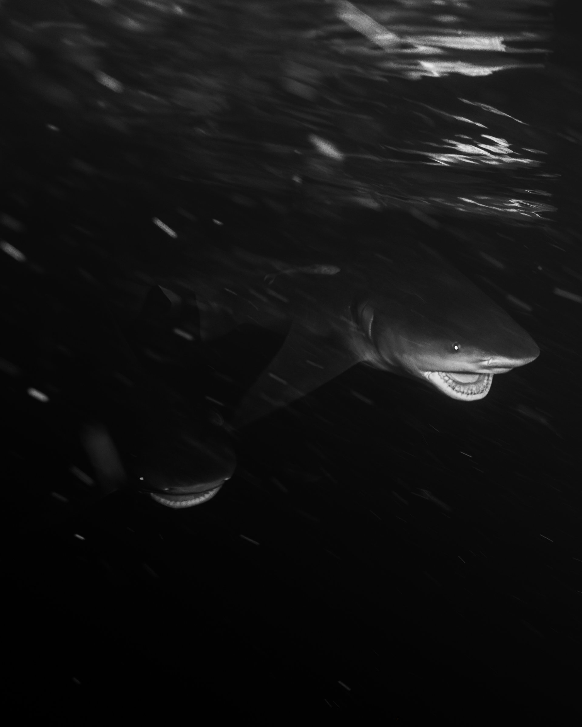 Dark Waters 30