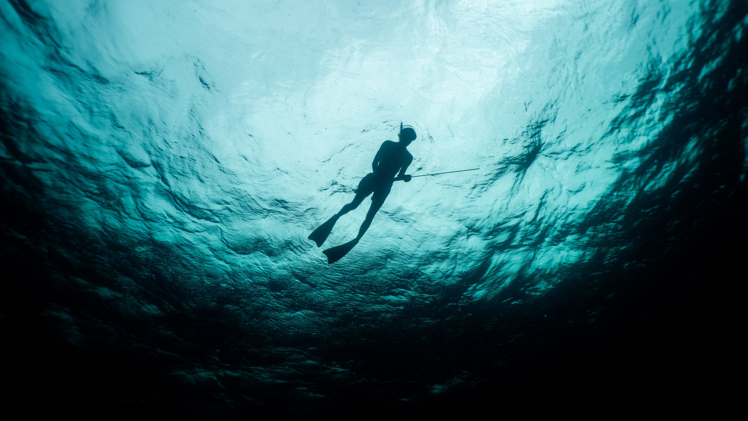 Ocean Portraits 145