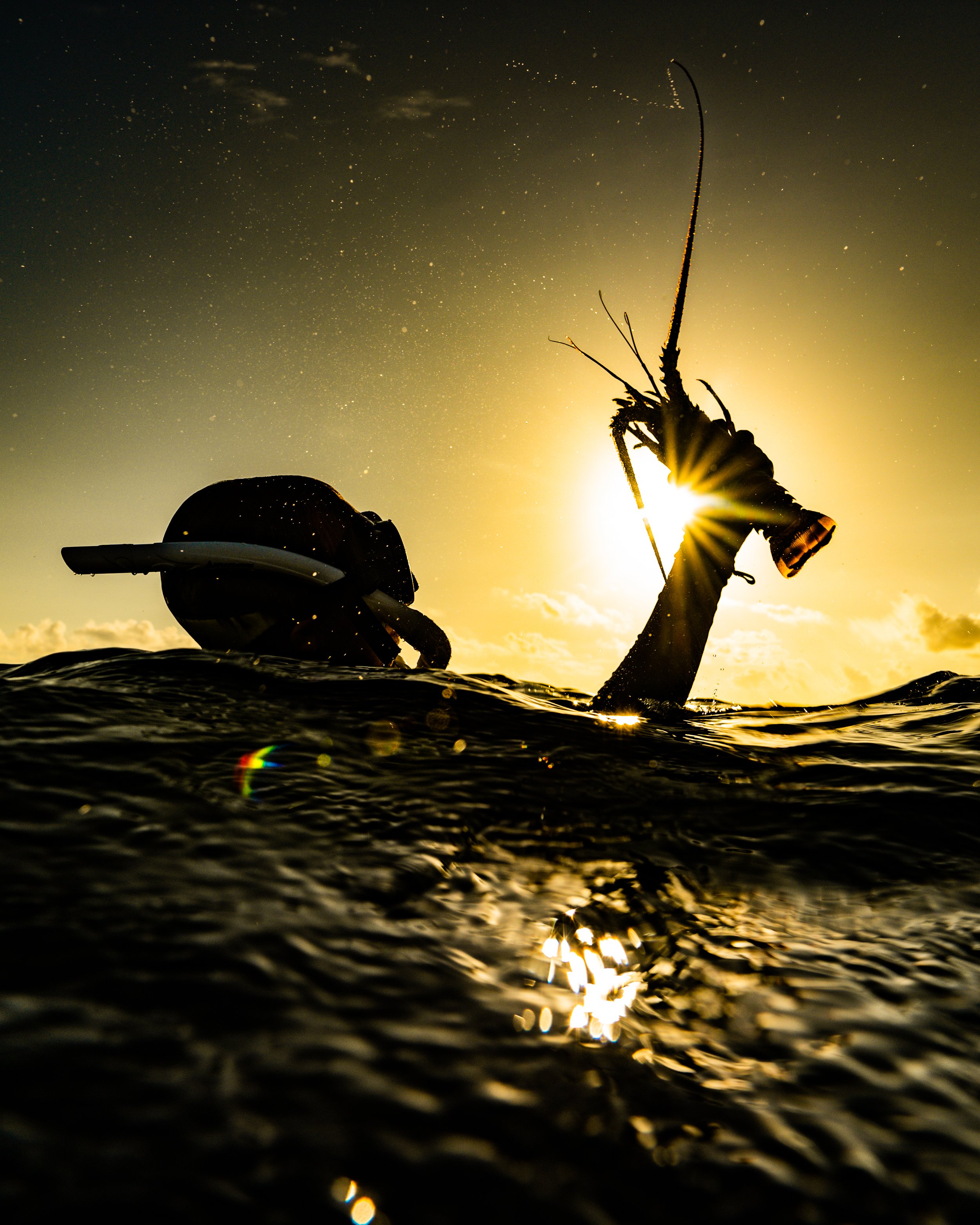 Ocean Portraits 177