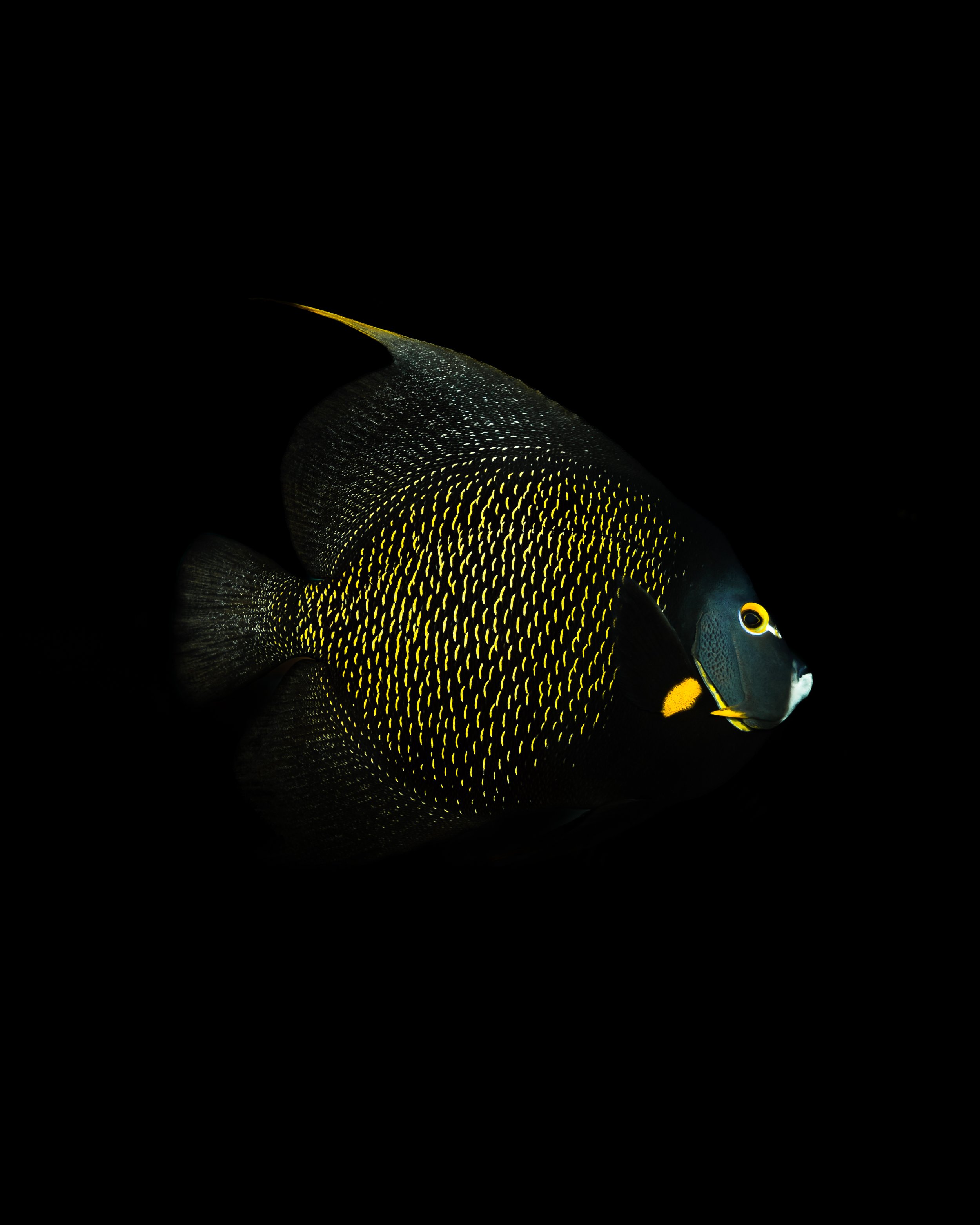 Dark Waters 6