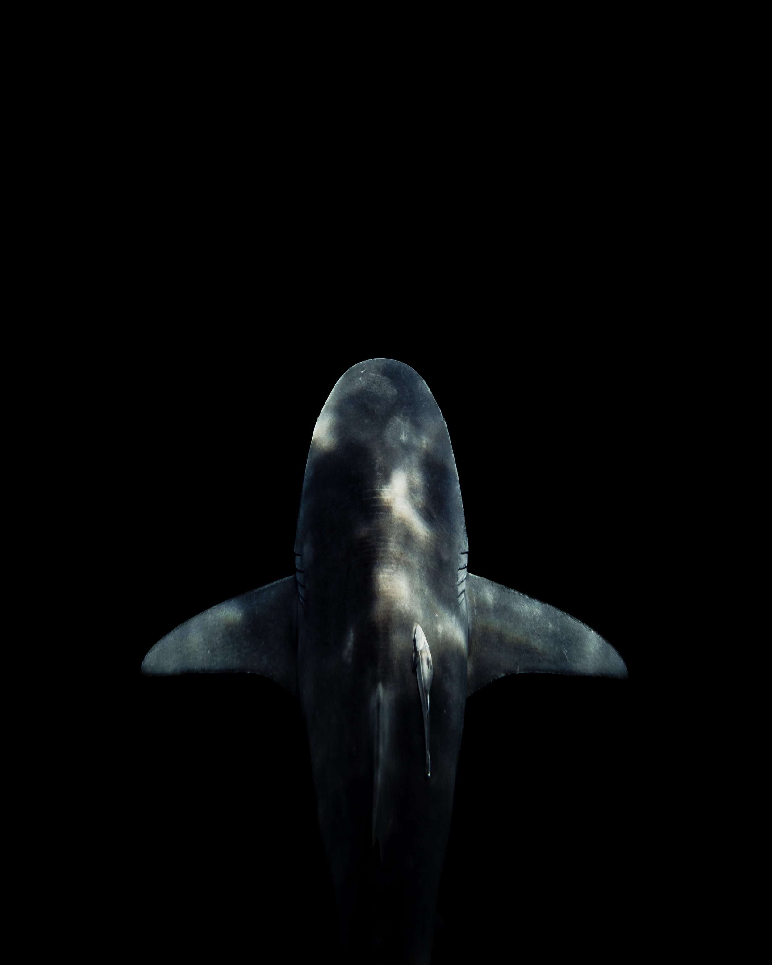 Dark Waters 14