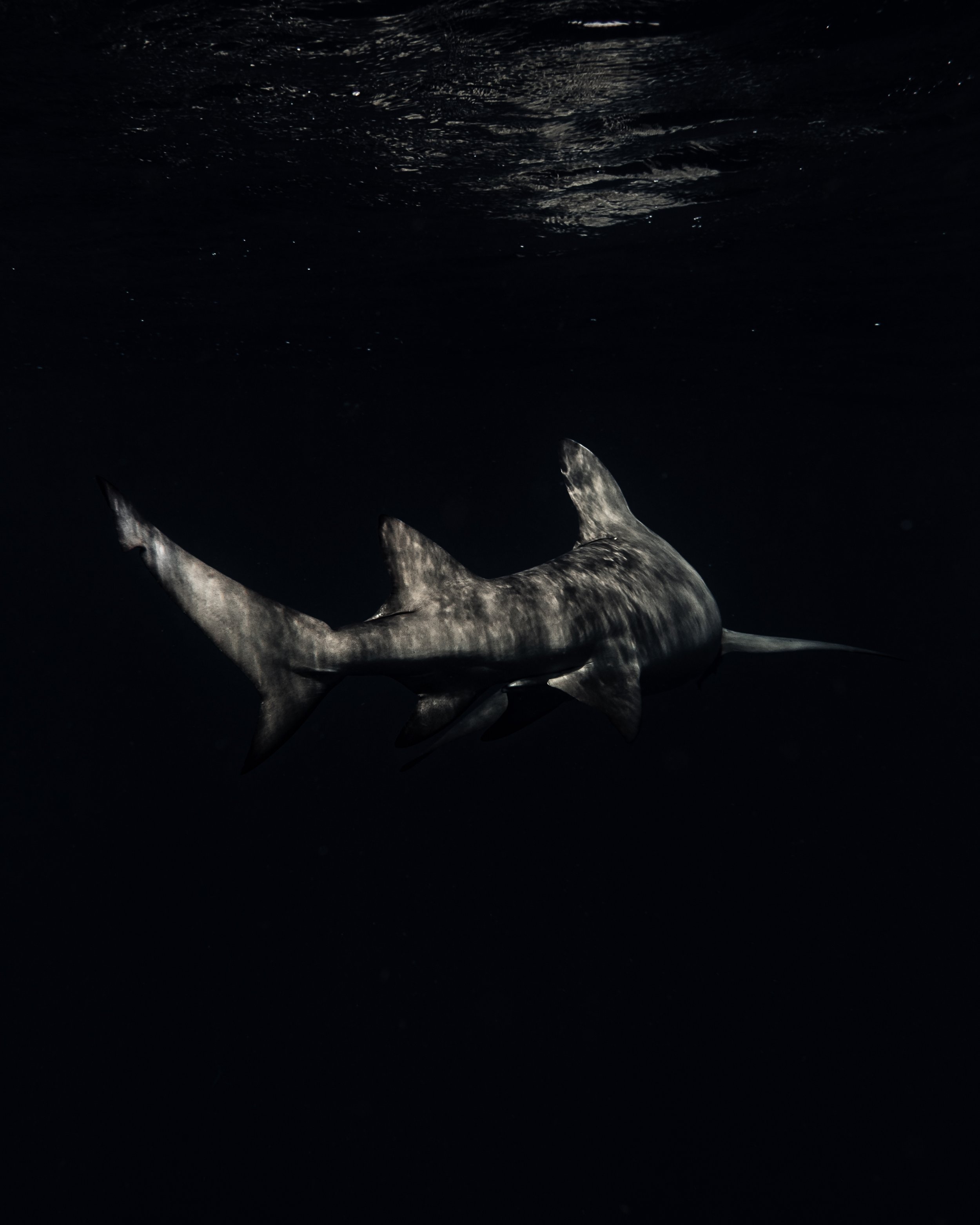 Dark Waters 22