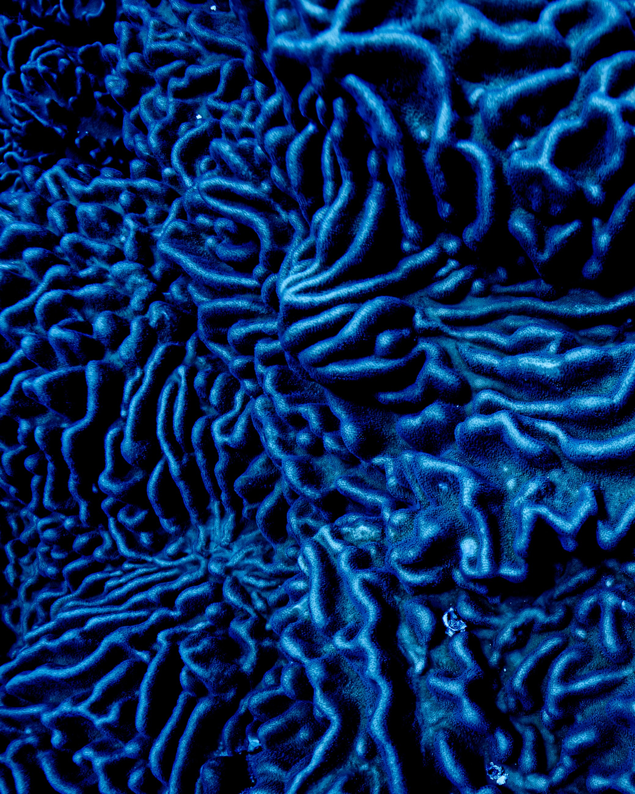 Ocean Landscapes 115