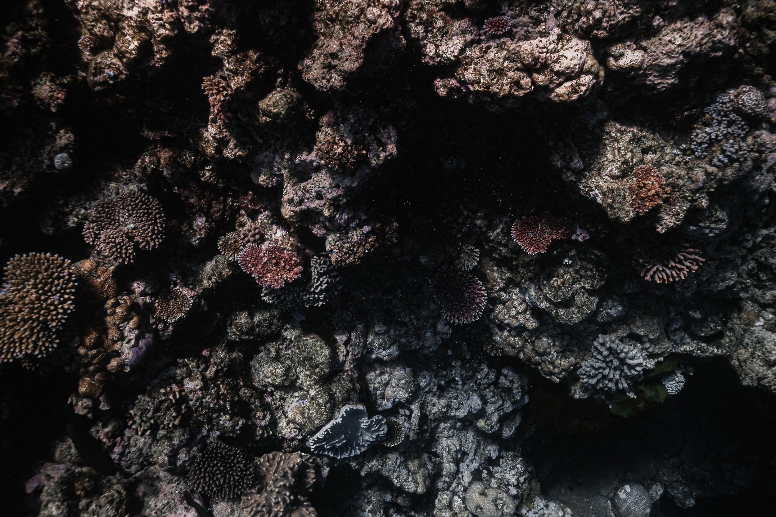 Ocean Landscapes 101